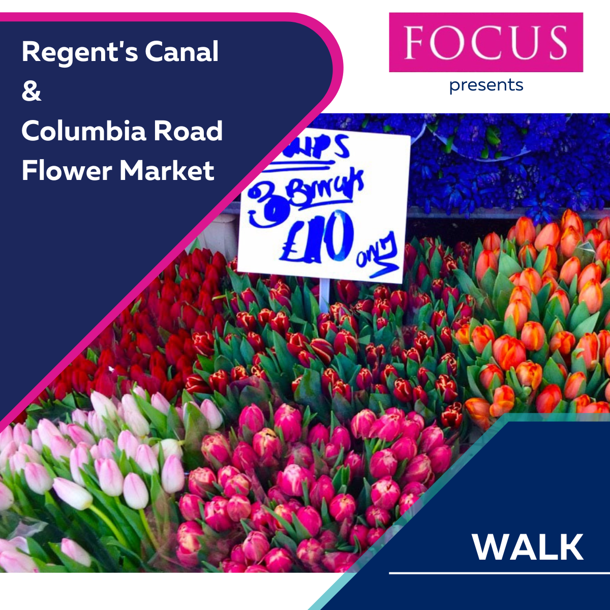 FOCUS Walk – Regent’s Canal & Columbia Road Flower Market