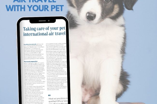 International Air Travel with Your Pet