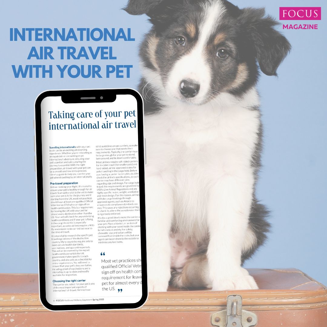 International Air Travel with Your Pet
